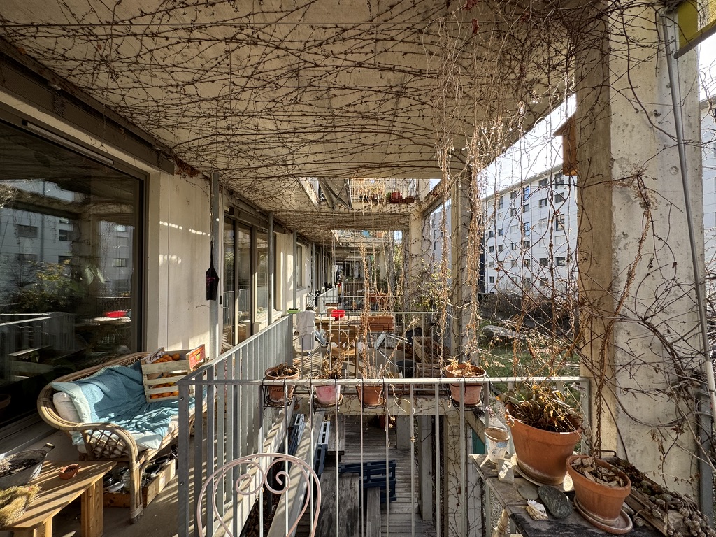 Concepția regenerativă